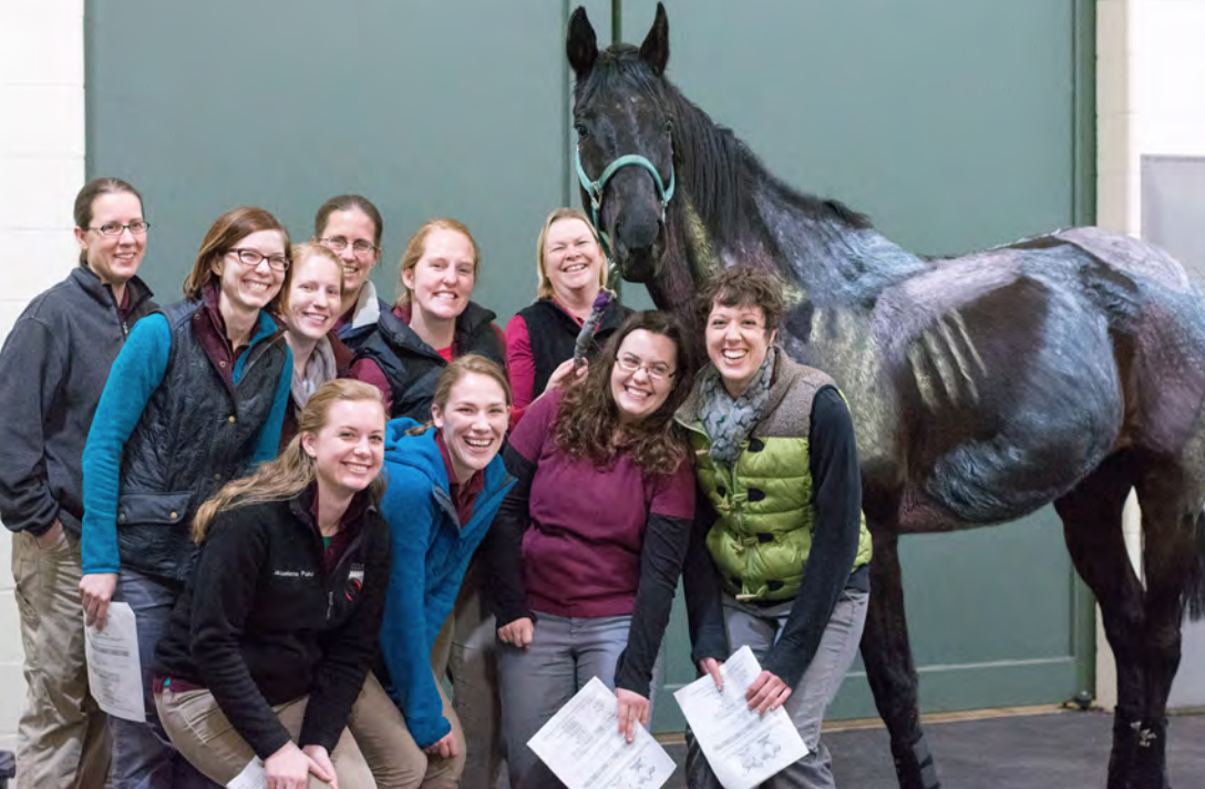 Celebrating 10 years at the Leatherdale Equine Center | Profiles